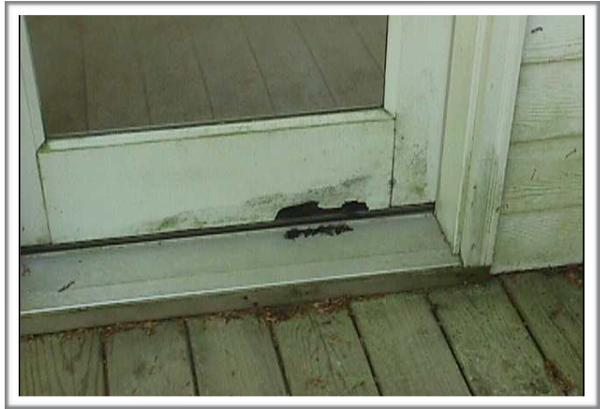 Inspect the condition of doors and windows.